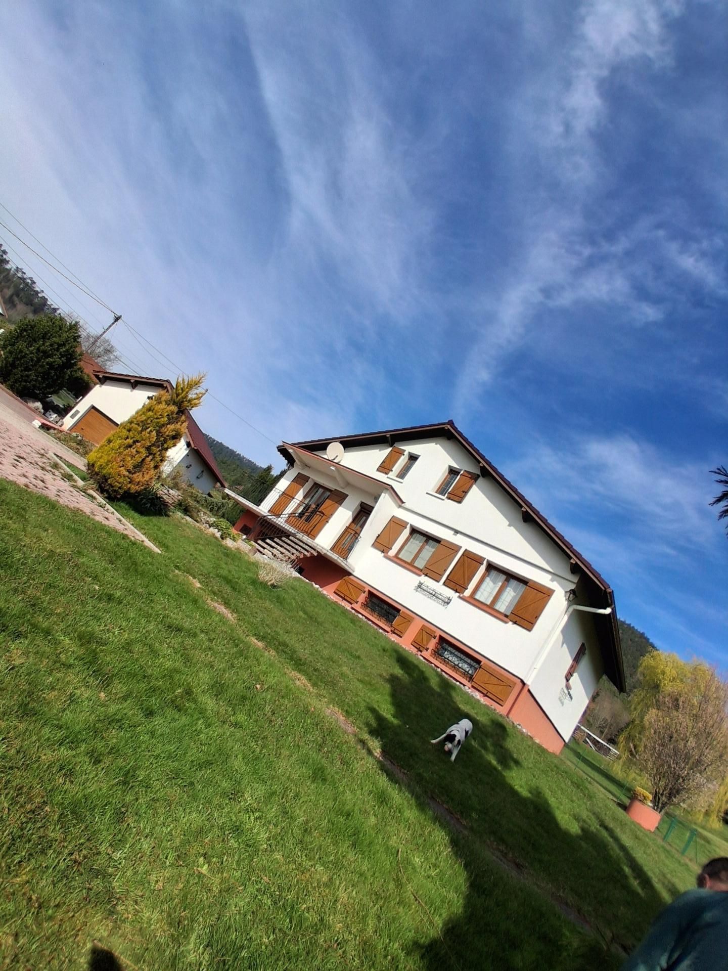 Miniature photo - 8 / 8