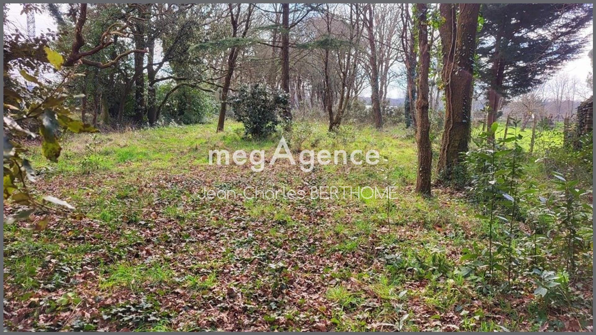 Miniature photo - 4 / 9