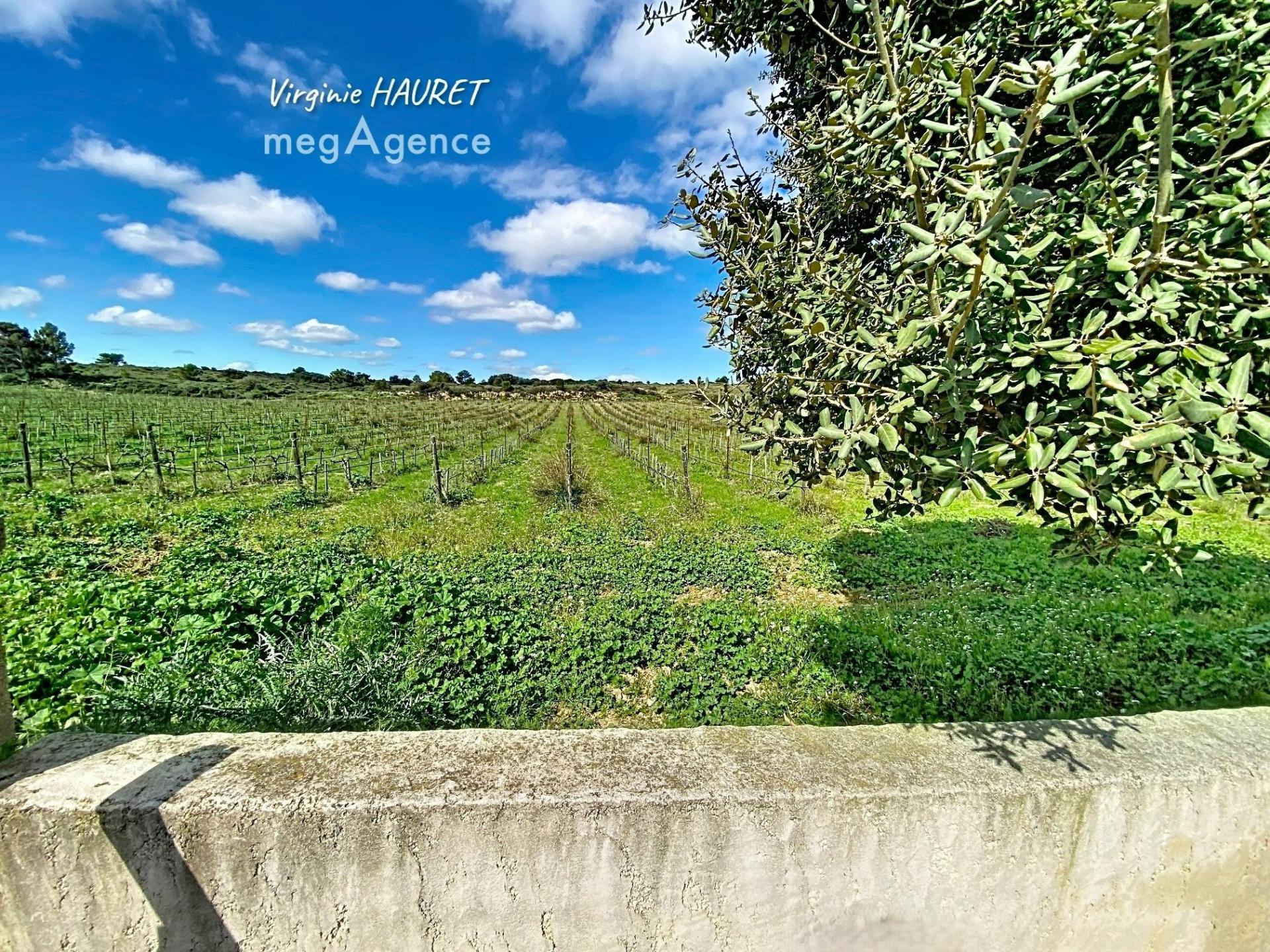 Miniature photo - 4 / 16