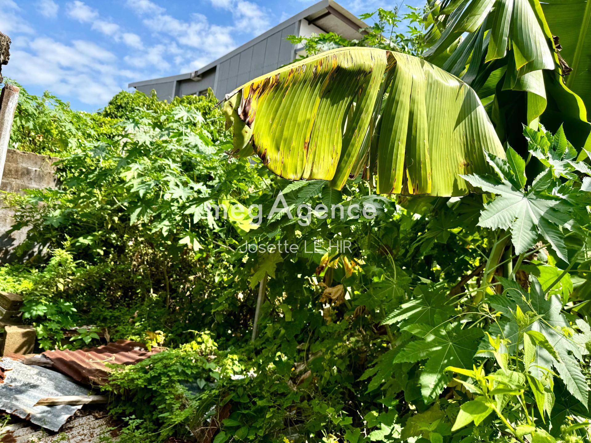 Photographie descriptive du bien