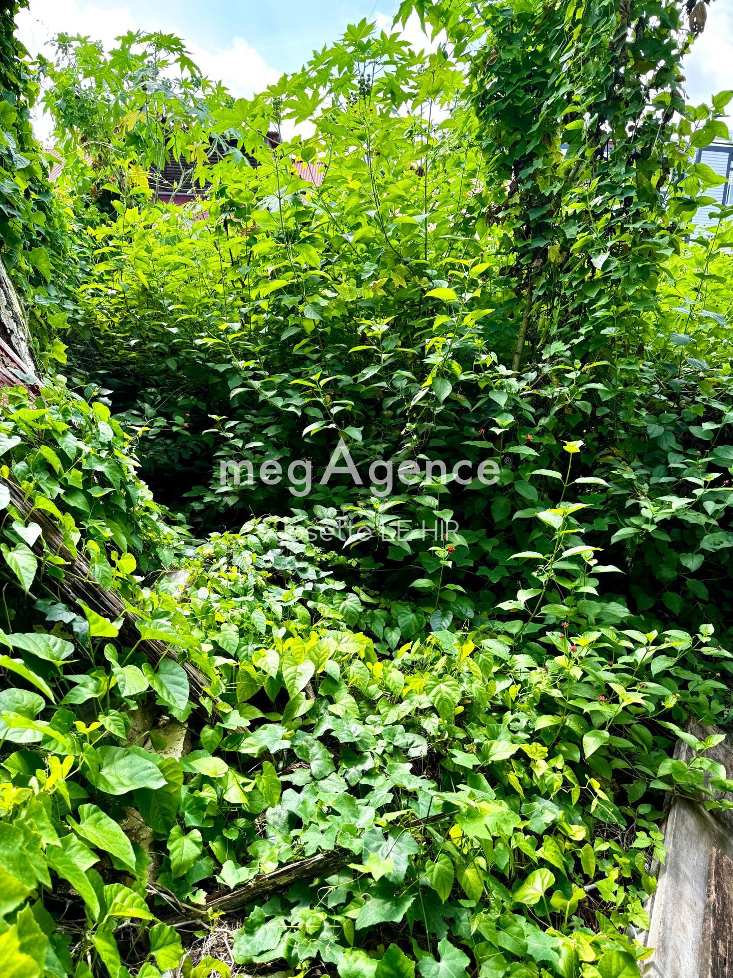 Miniature photo - 2 / 4