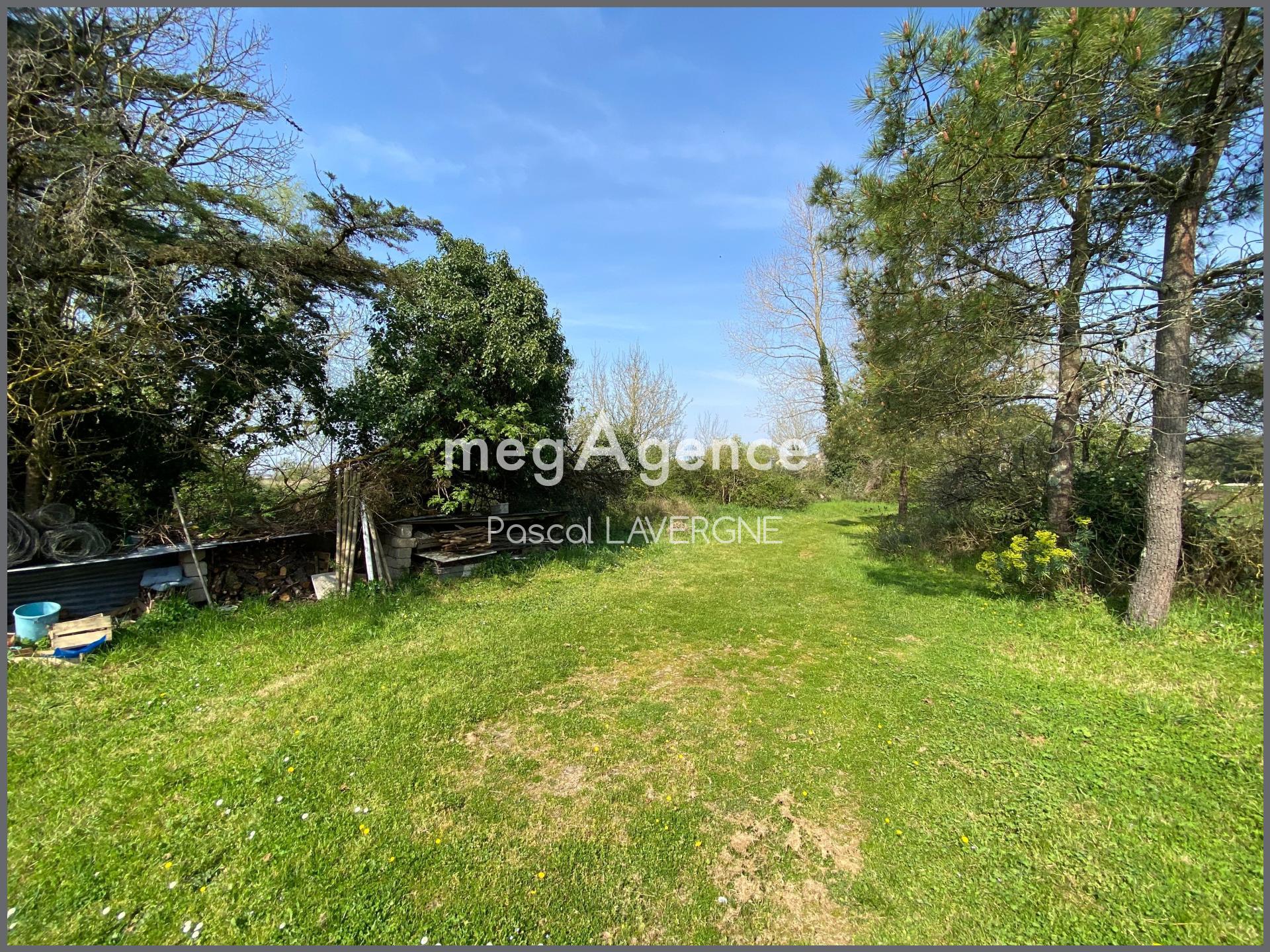 Miniature photo - 11 / 12