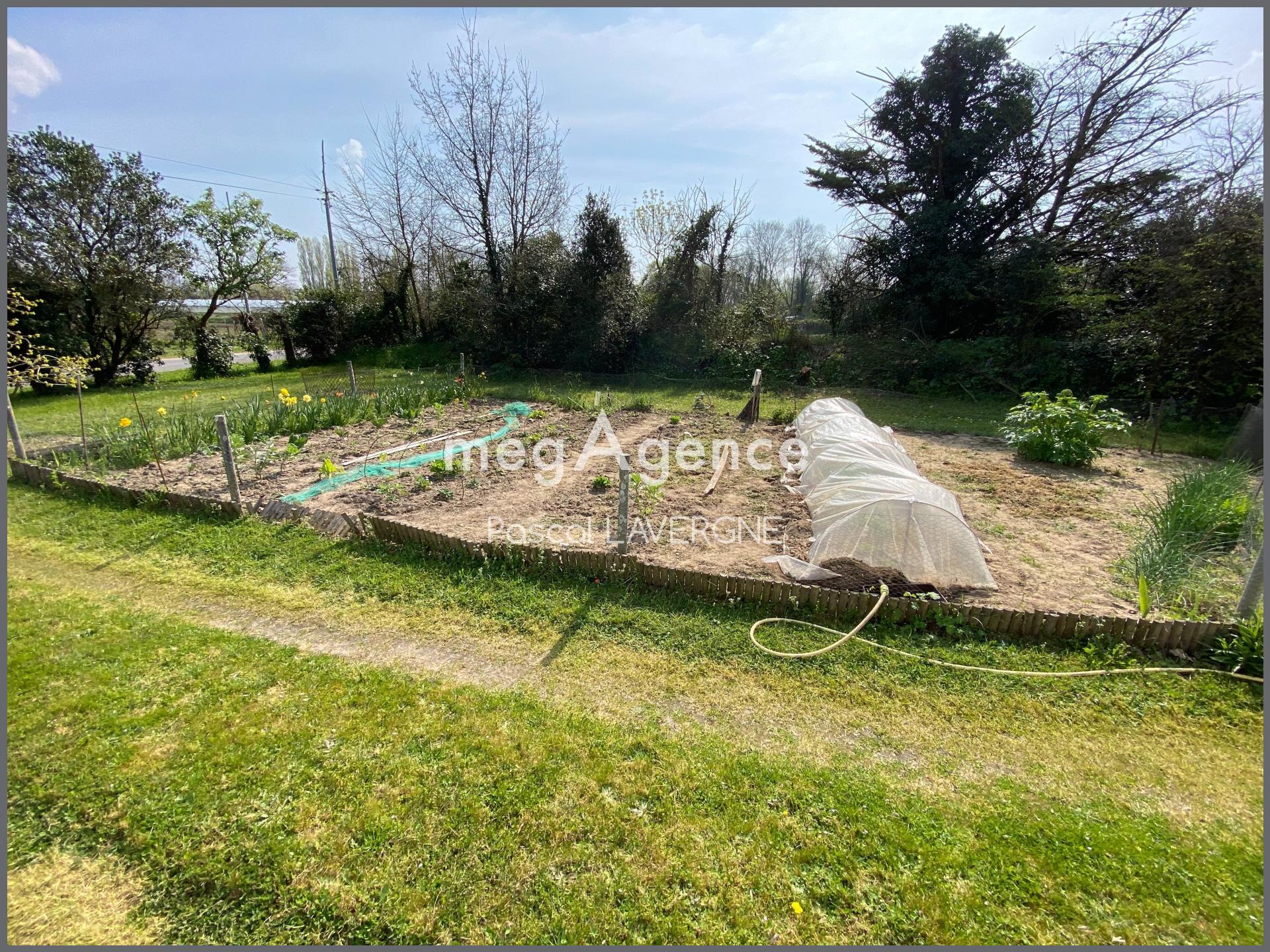 Miniature photo - 10 / 12