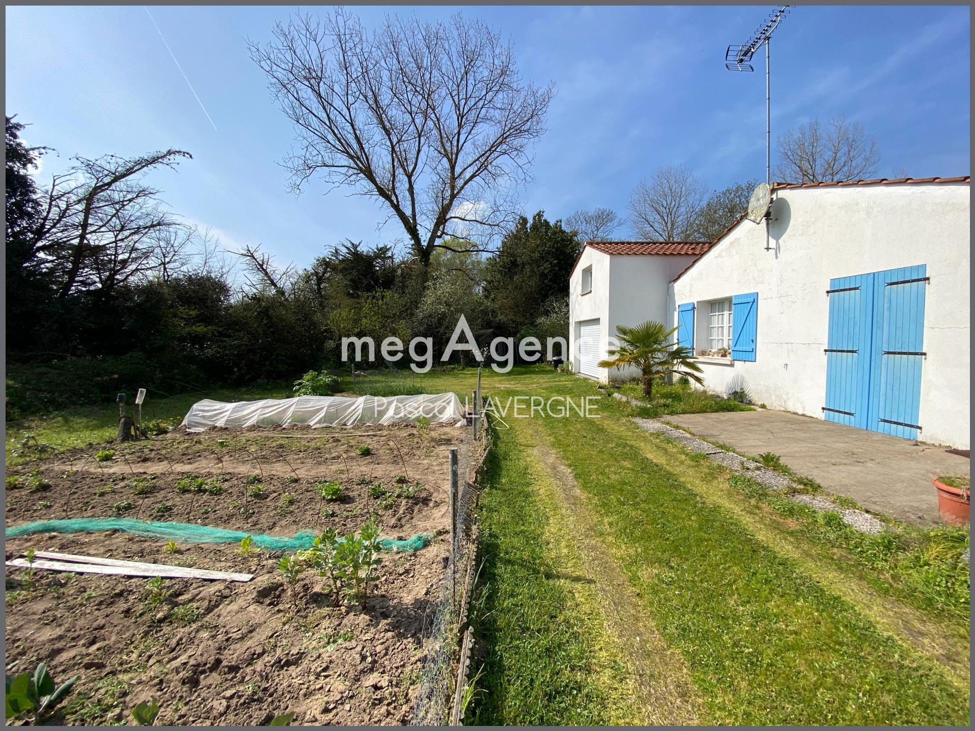 Miniature photo - 9 / 12