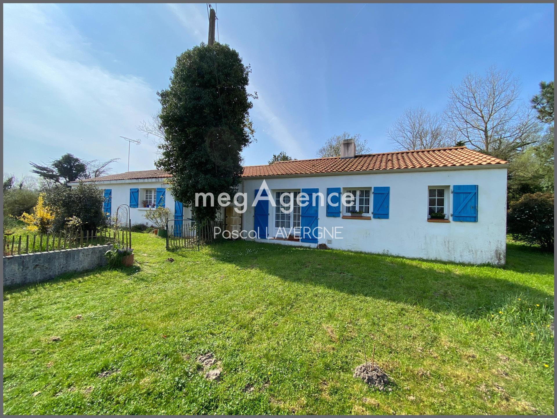 Miniature photo - 12 / 12