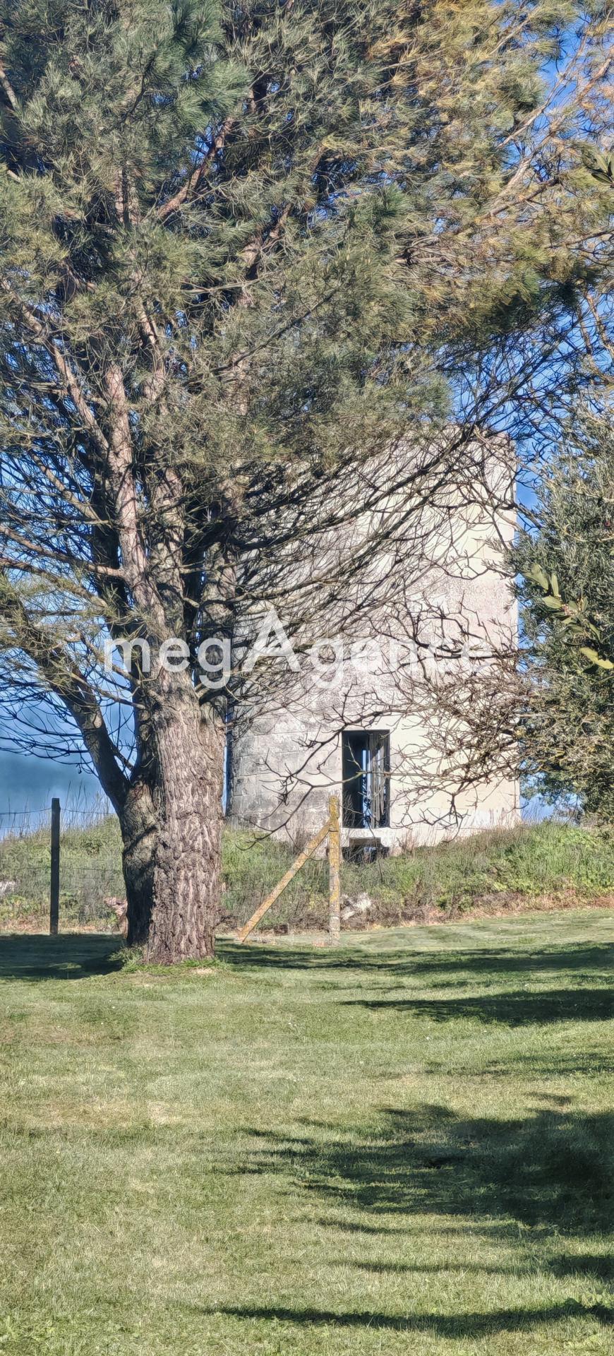 Miniature photo - 5 / 5