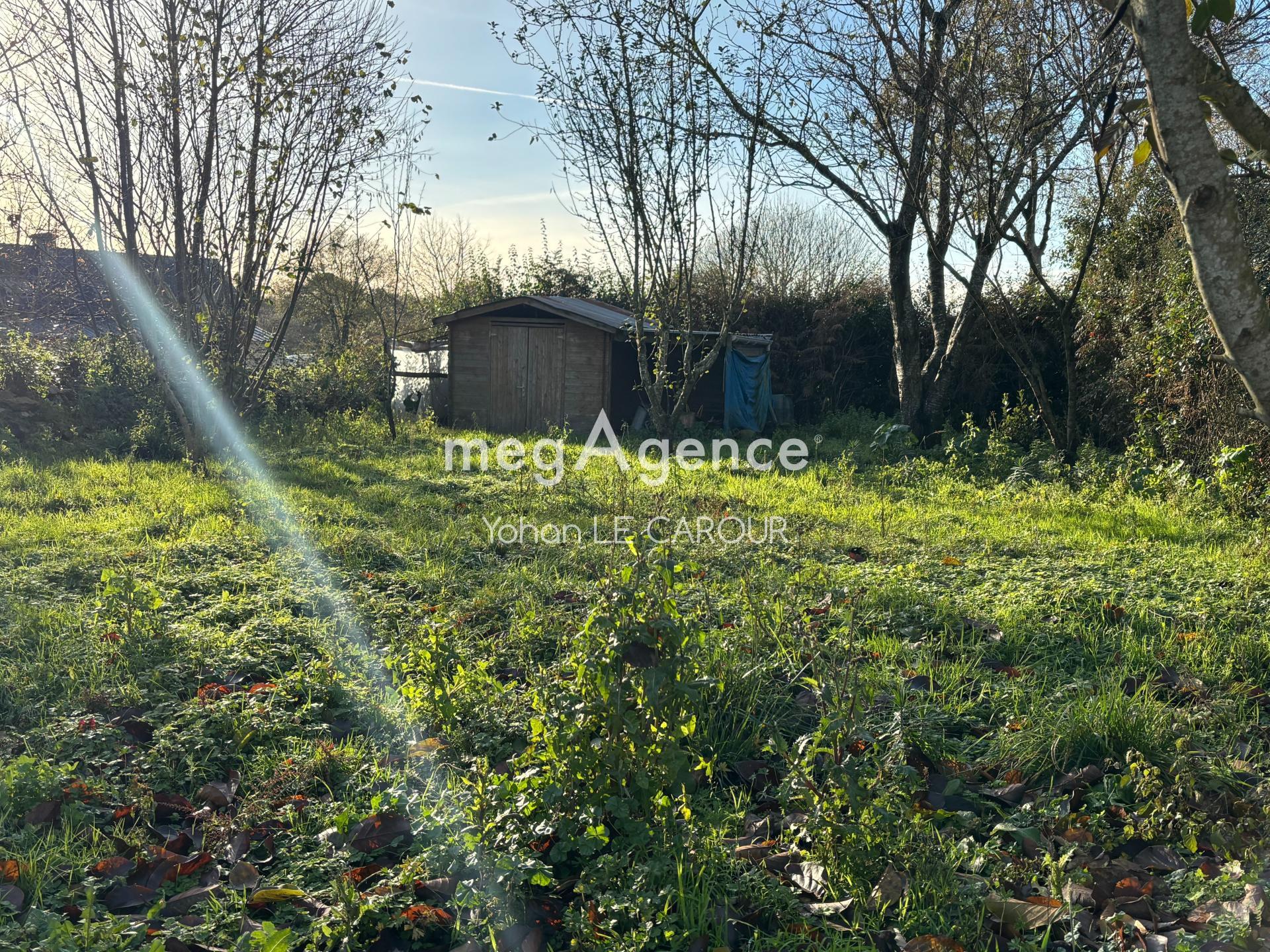 Miniature photo - 4 / 13