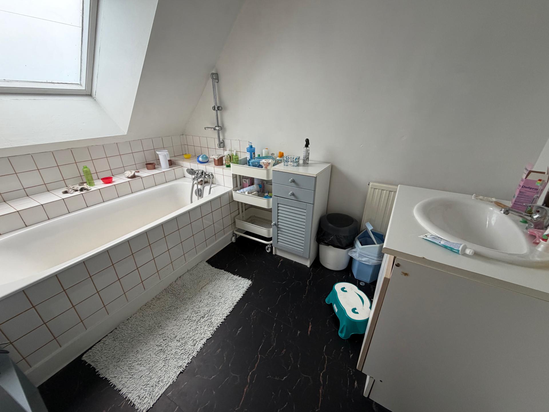 Miniature photo - 12 / 12