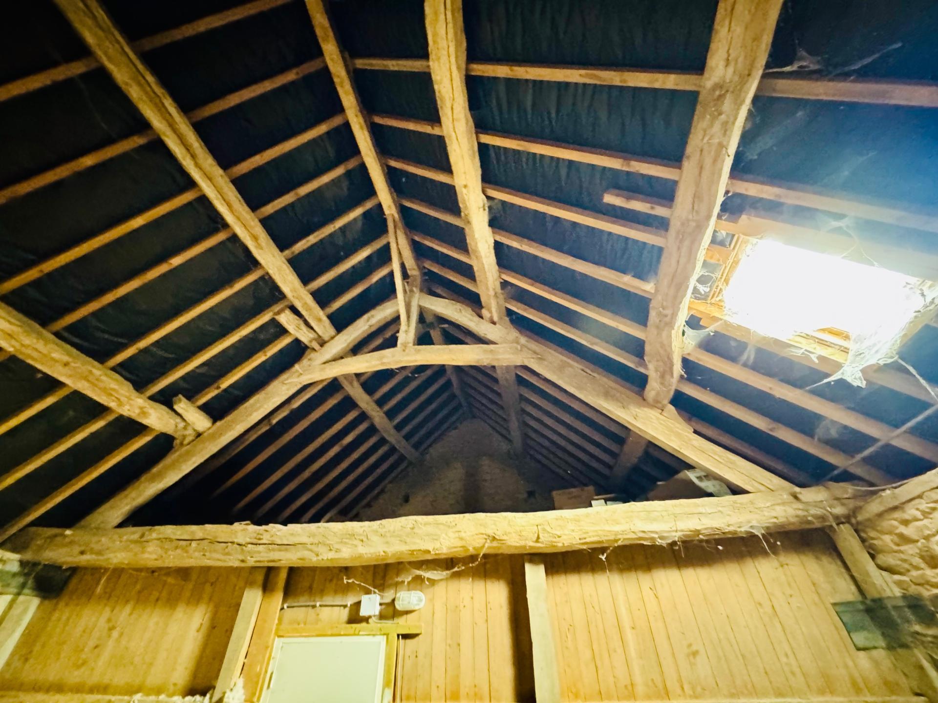 Miniature photo - 11 / 13