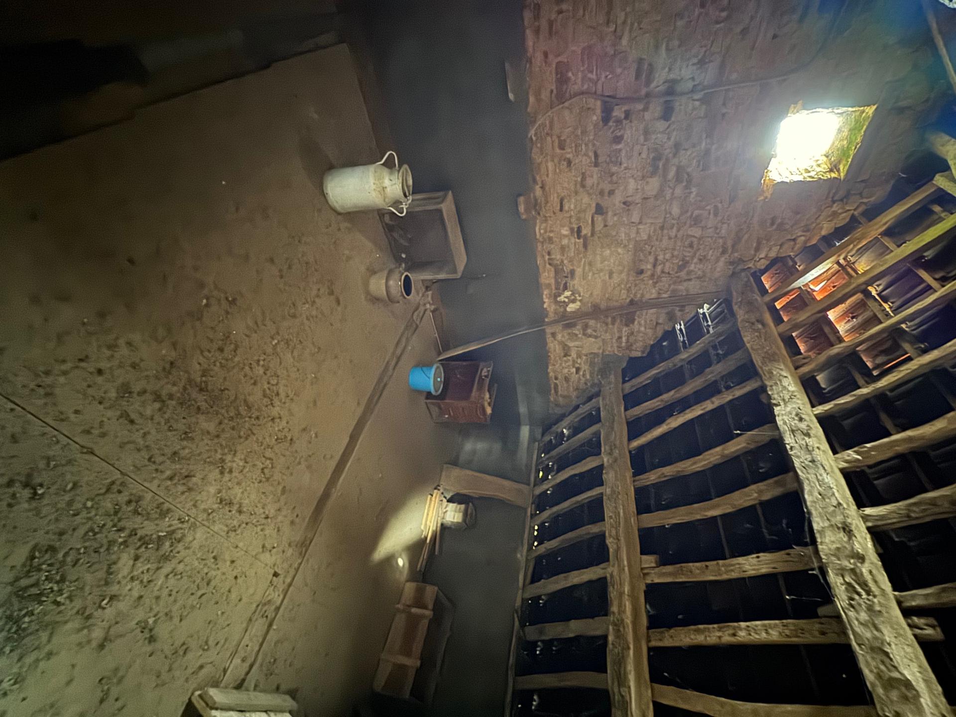 Miniature photo - 12 / 13