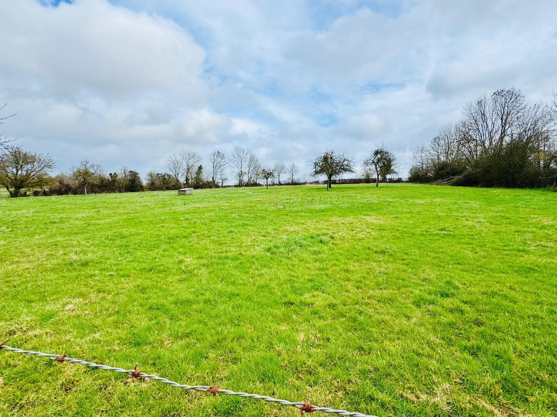 Miniature photo - 13 / 13