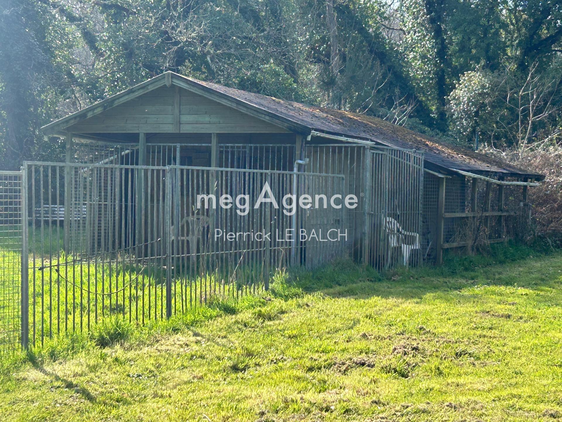 Miniature photo - 4 / 20