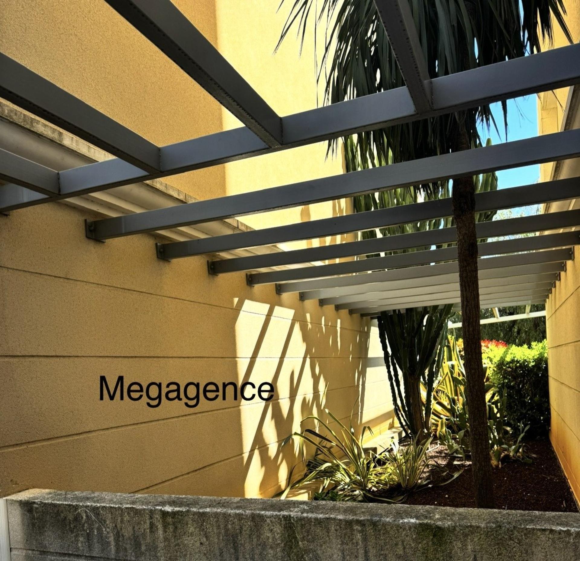 Miniature photo - 11 / 11