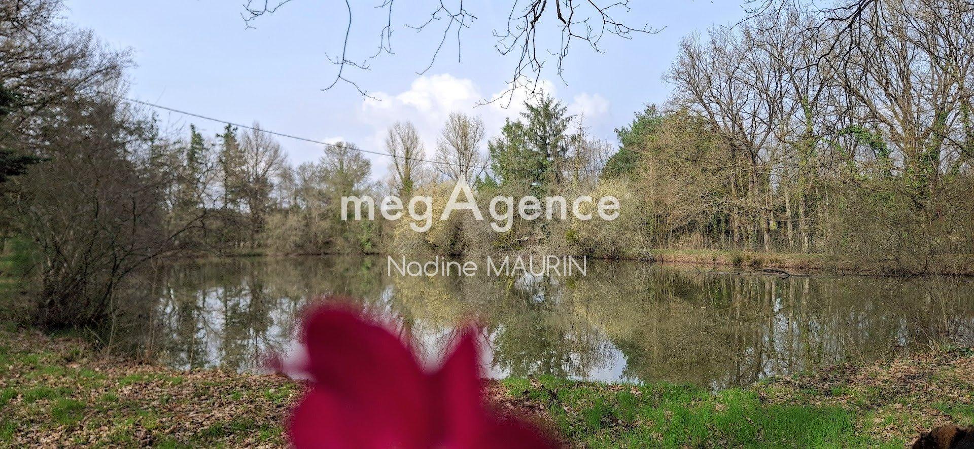 Miniature photo - 6 / 19