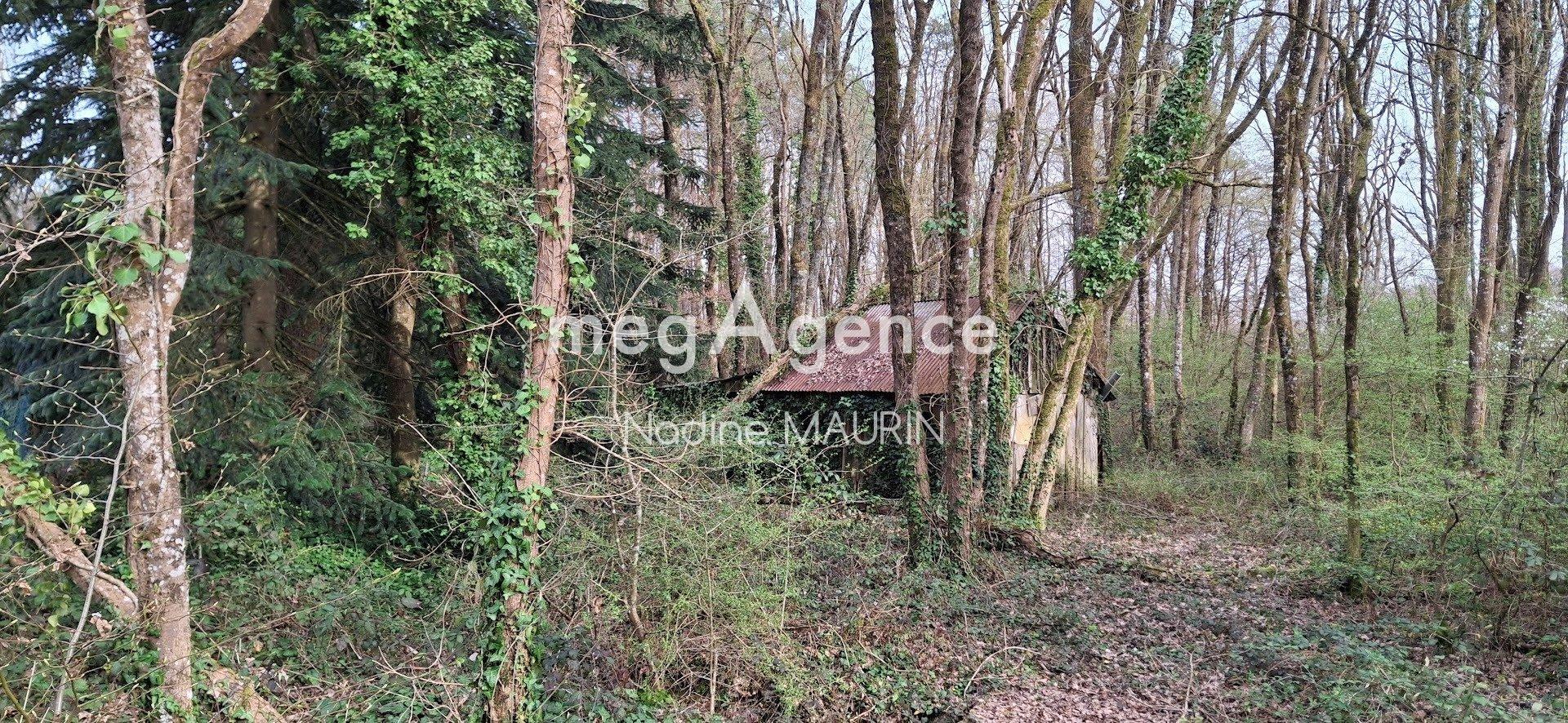 Miniature photo - 7 / 19