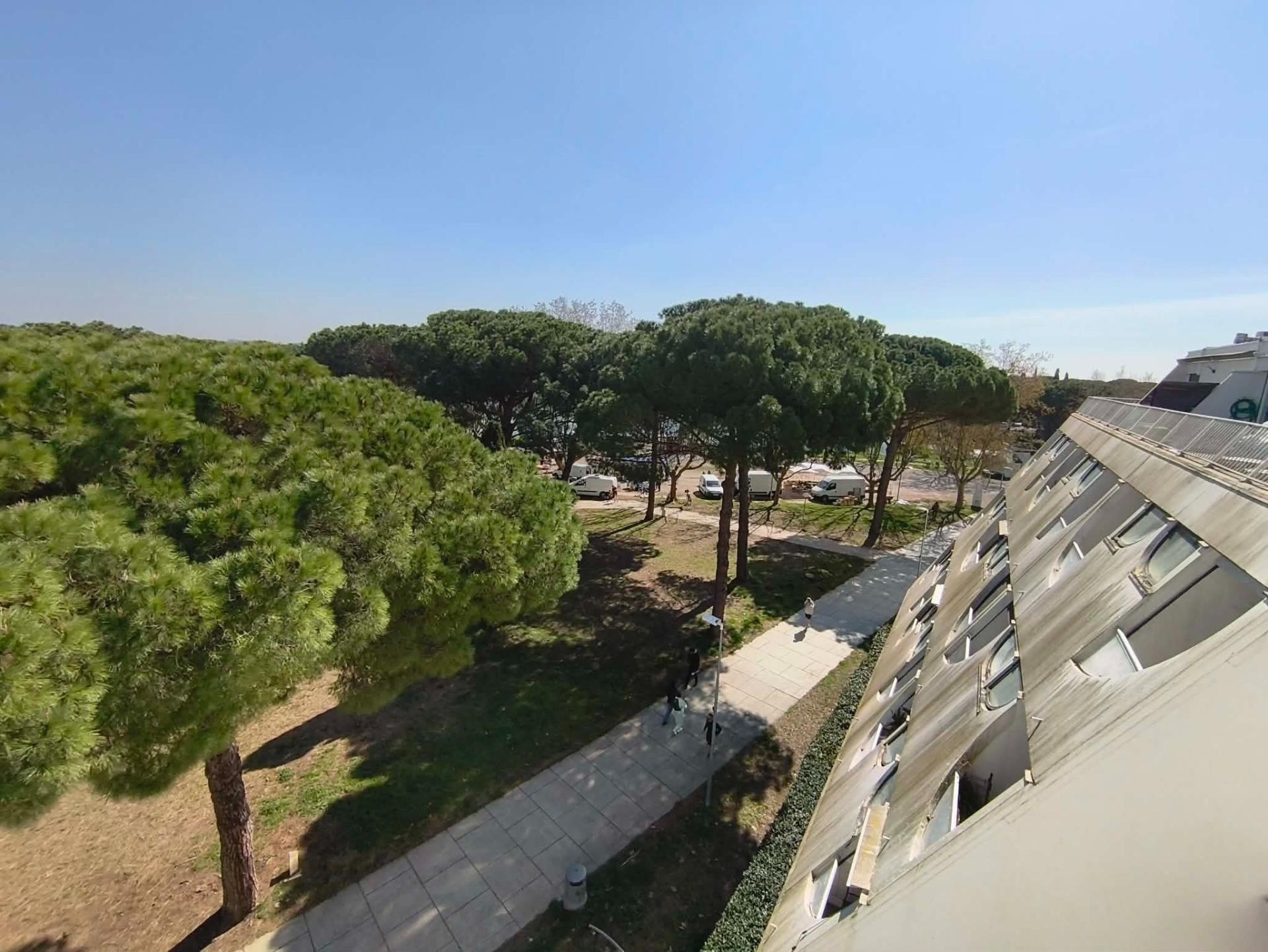 Miniature photo - 17 / 18