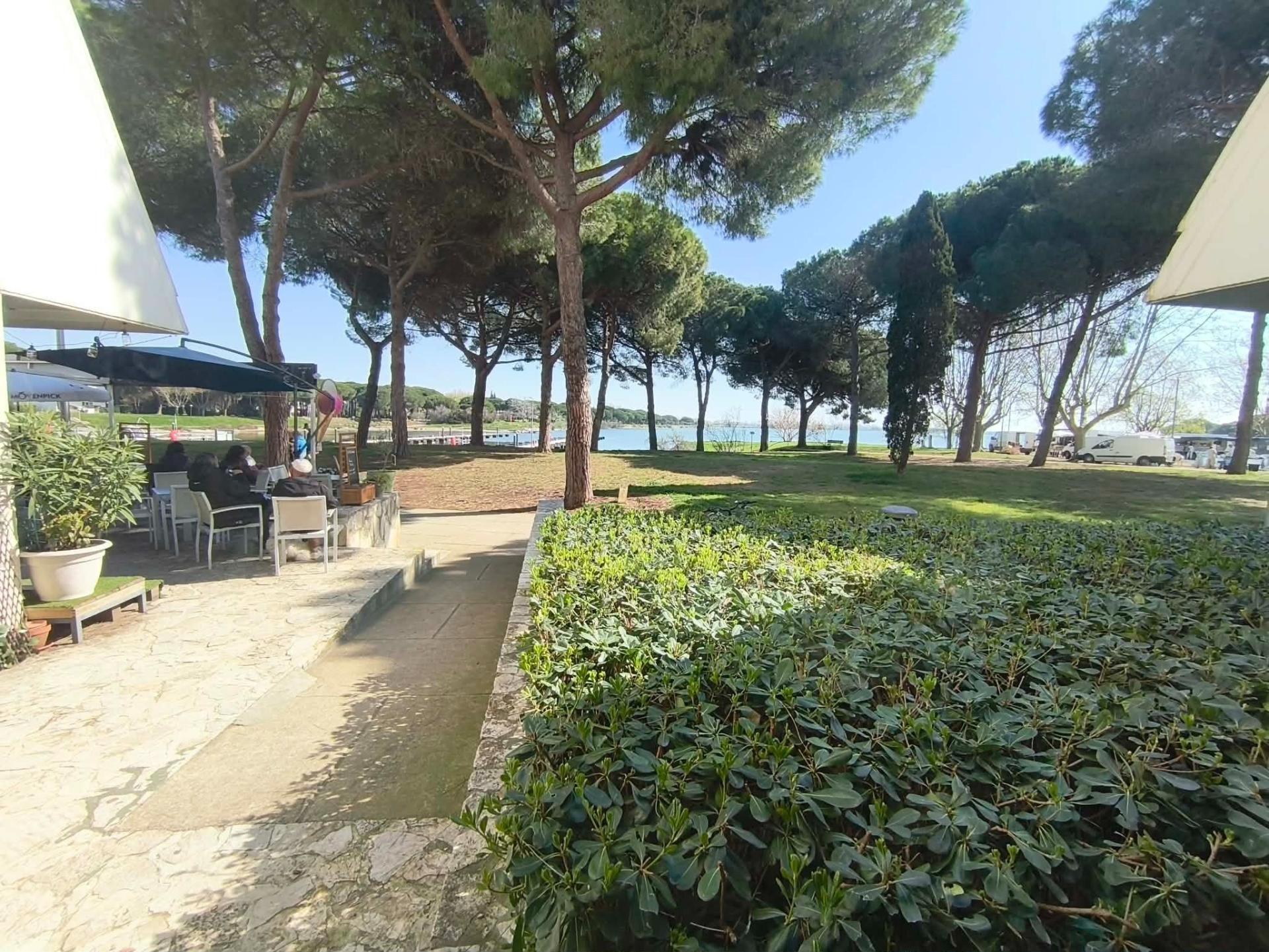 Miniature photo - 18 / 18