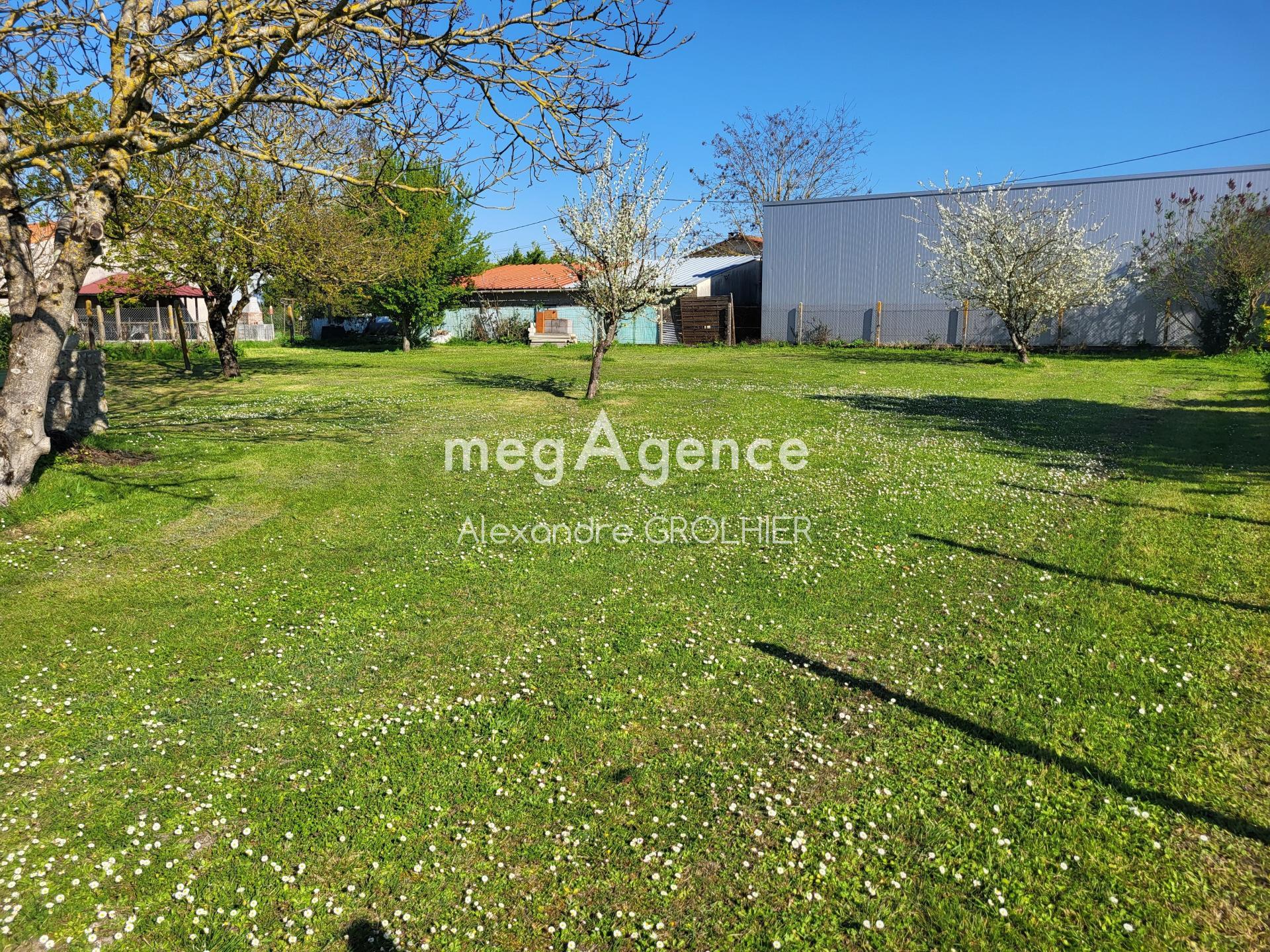 Miniature photo - 4 / 4