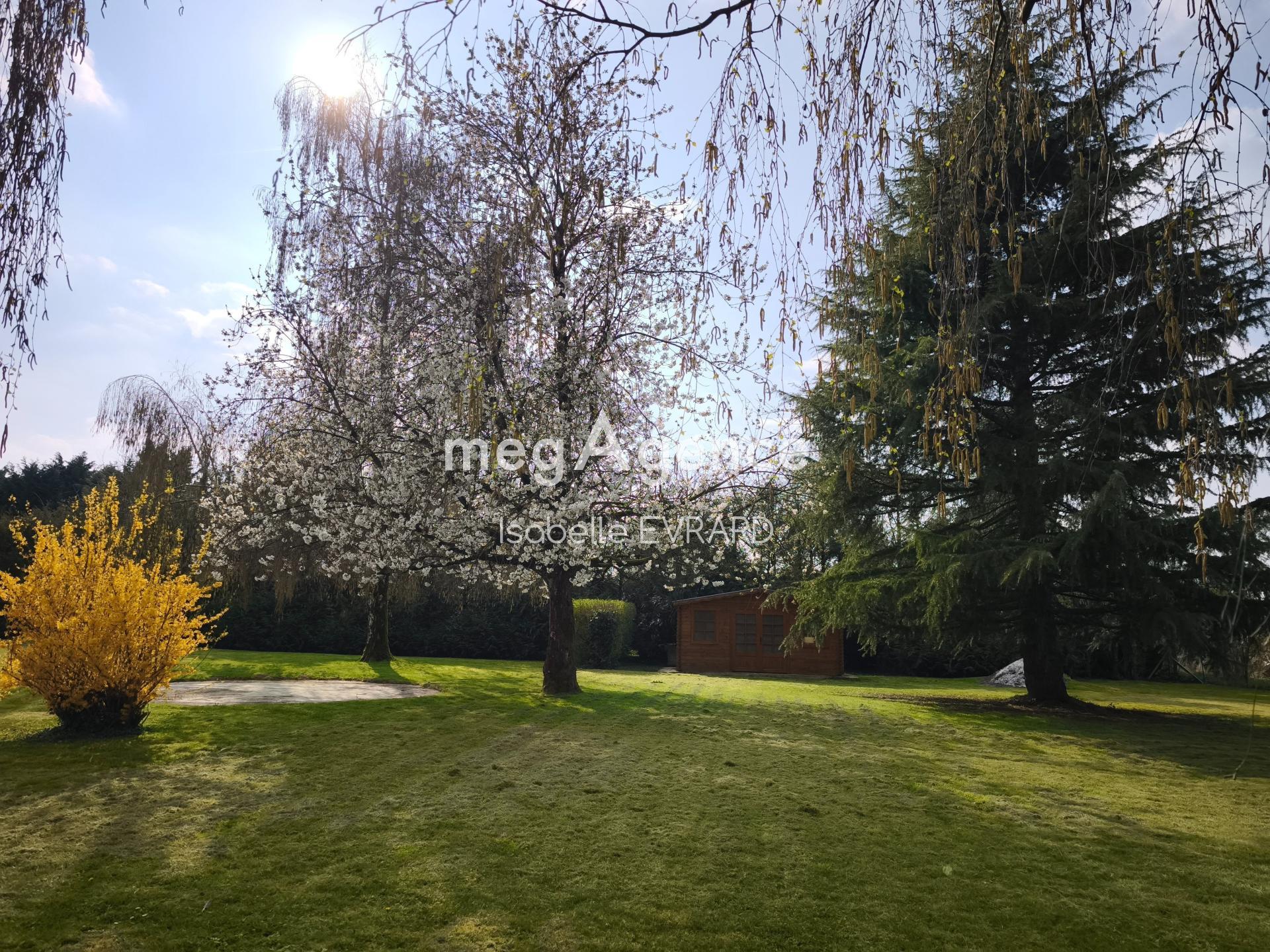 Miniature photo - 2 / 13