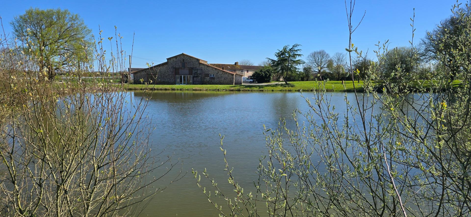 Miniature photo - 2 / 8