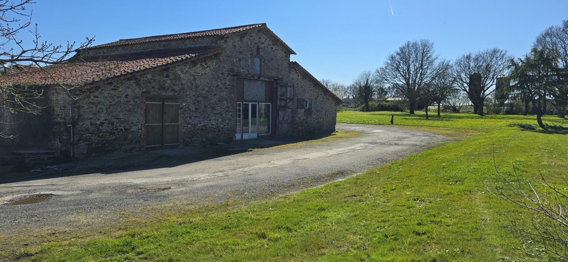 Miniature photo - 4 / 8