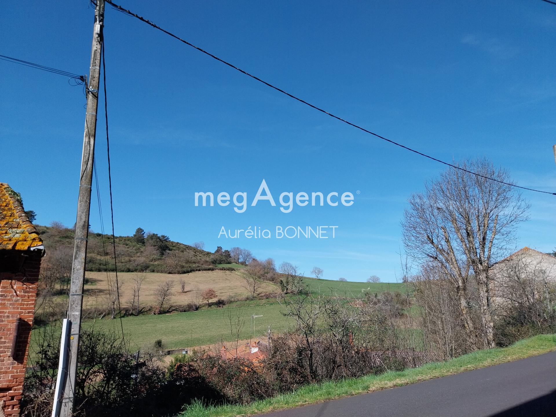 Miniature photo - 10 / 10