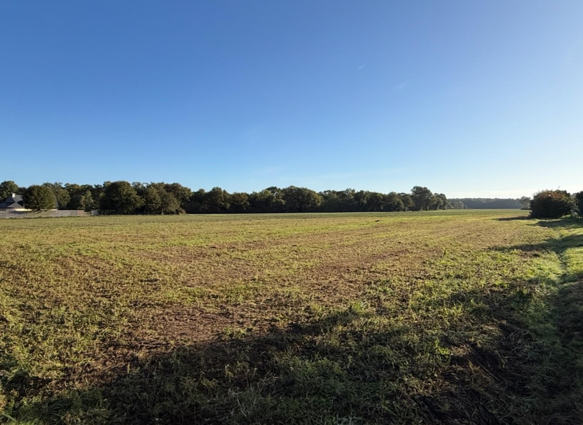 Miniature photo - 2 / 9