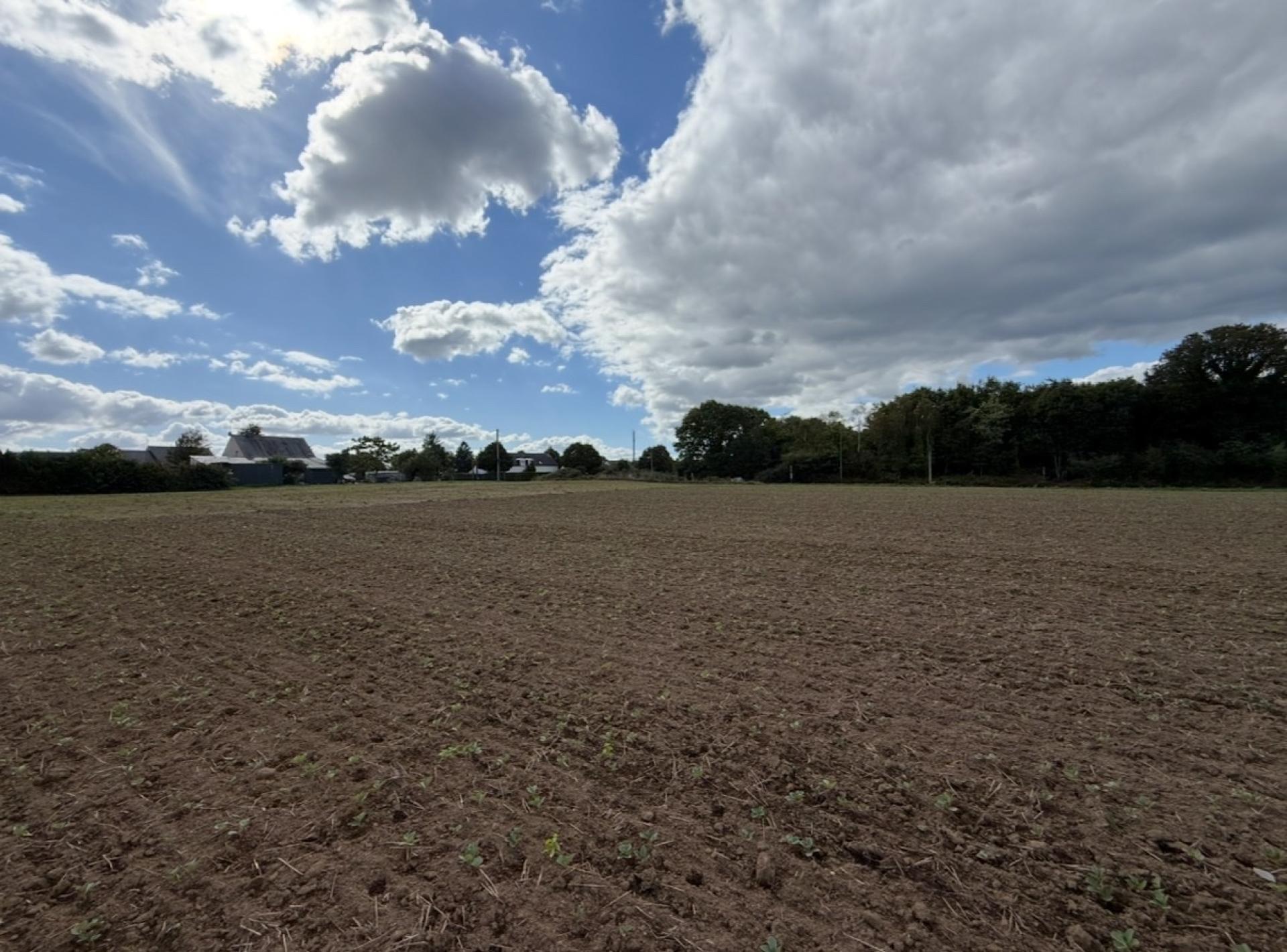 Miniature photo - 3 / 9