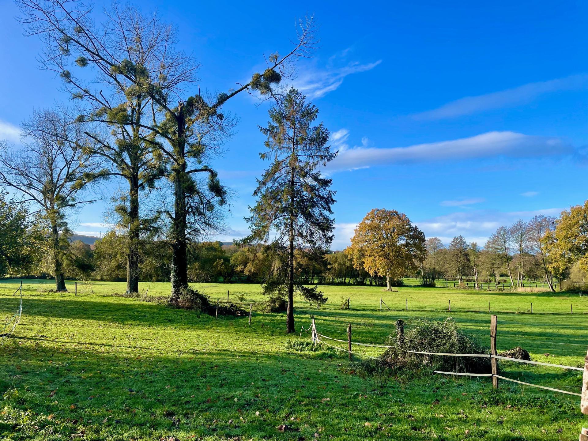 Miniature photo - 13 / 19