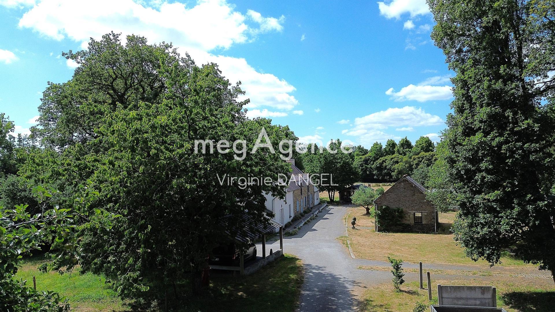 Miniature photo - 19 / 19