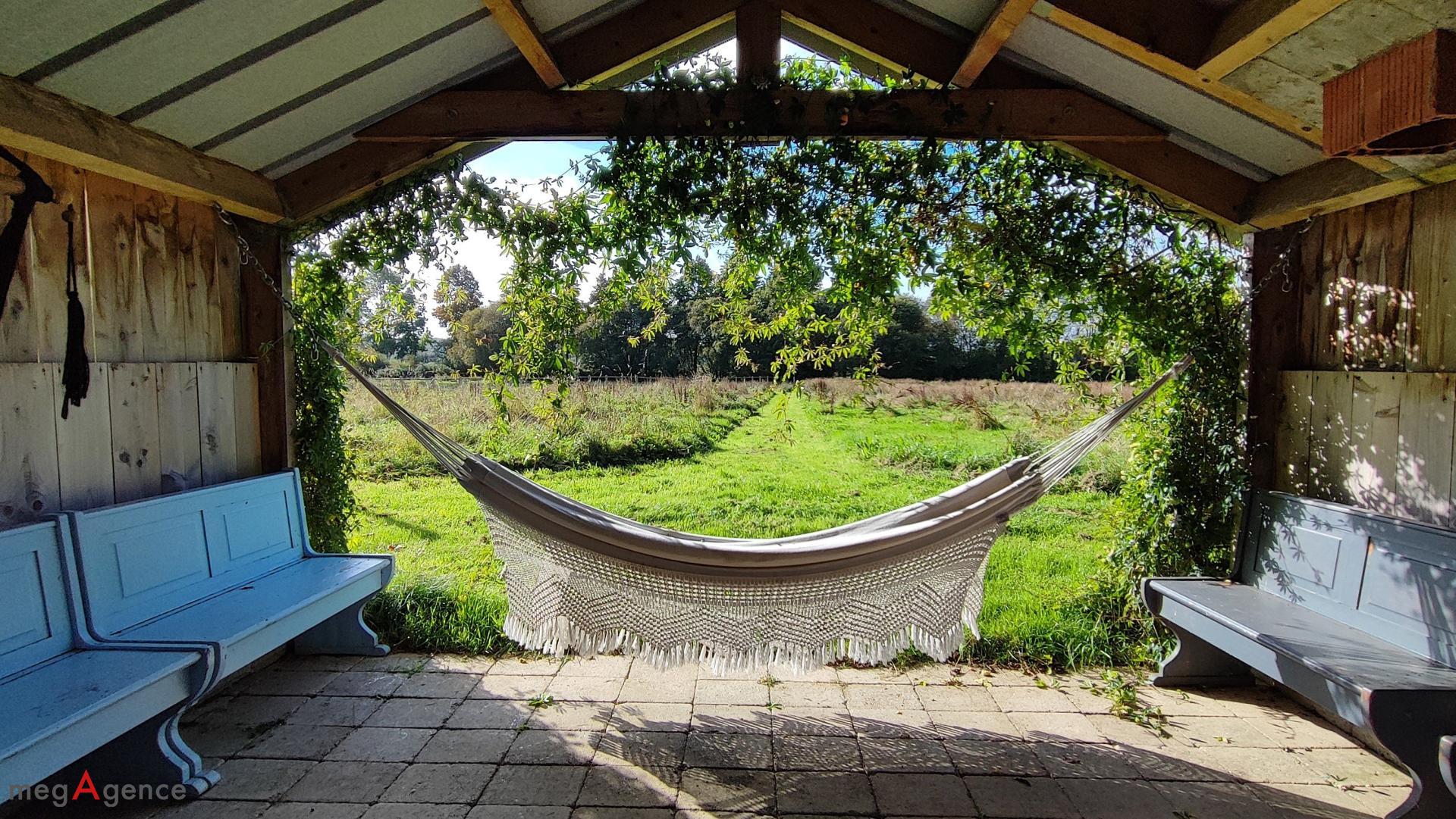 Miniature photo - 13 / 19