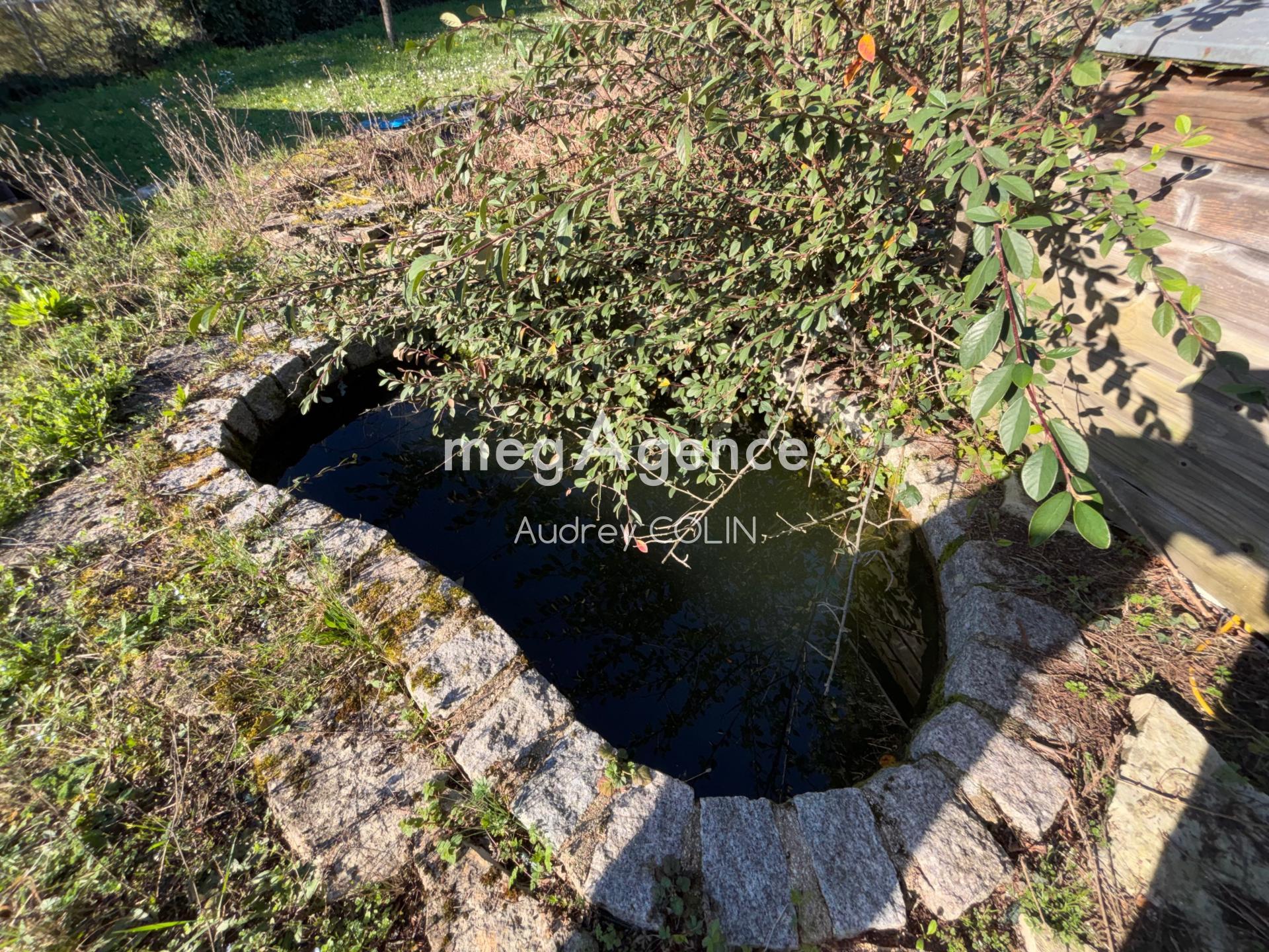 Miniature photo - 15 / 17