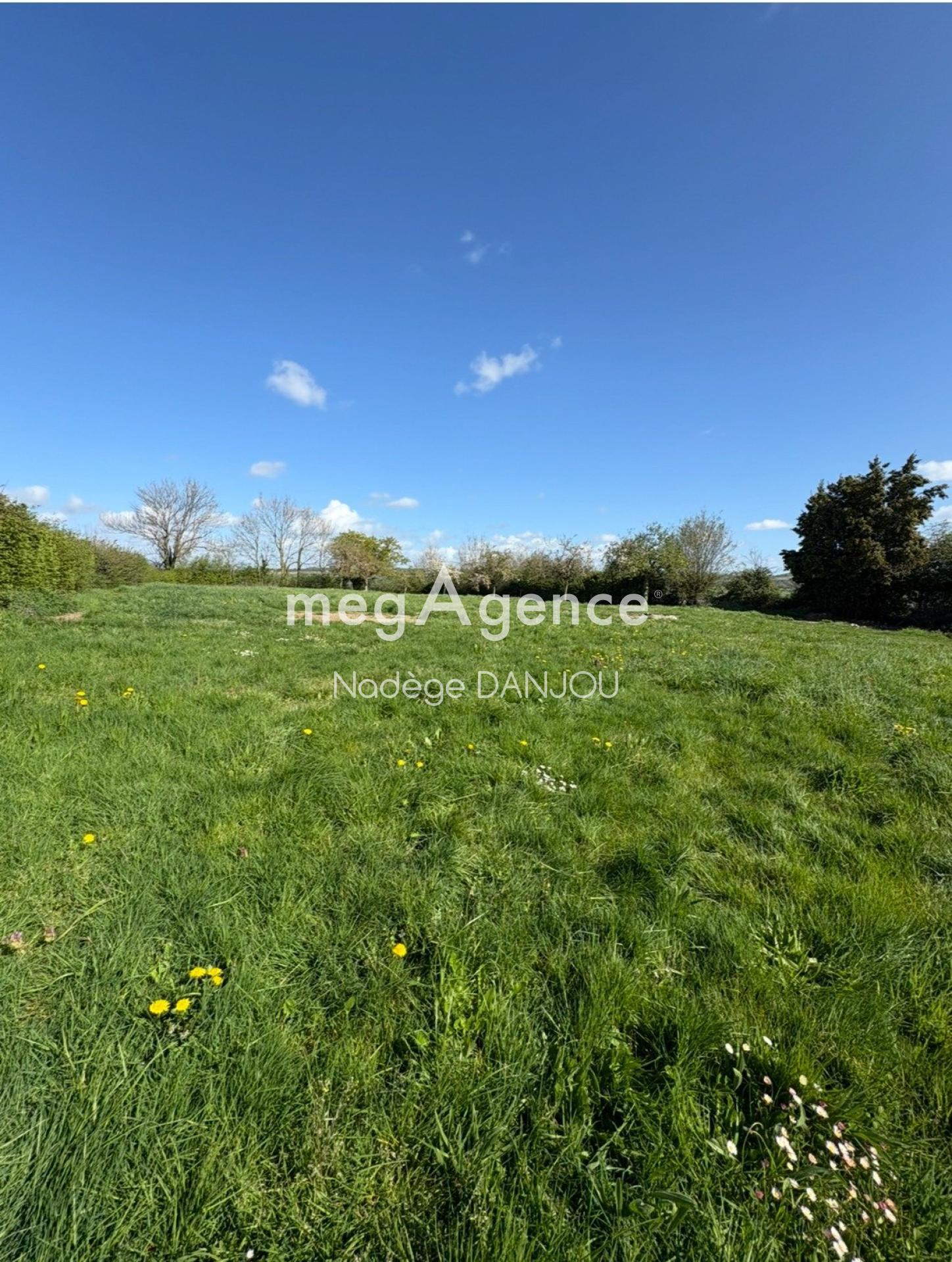 Miniature photo - 6 / 6