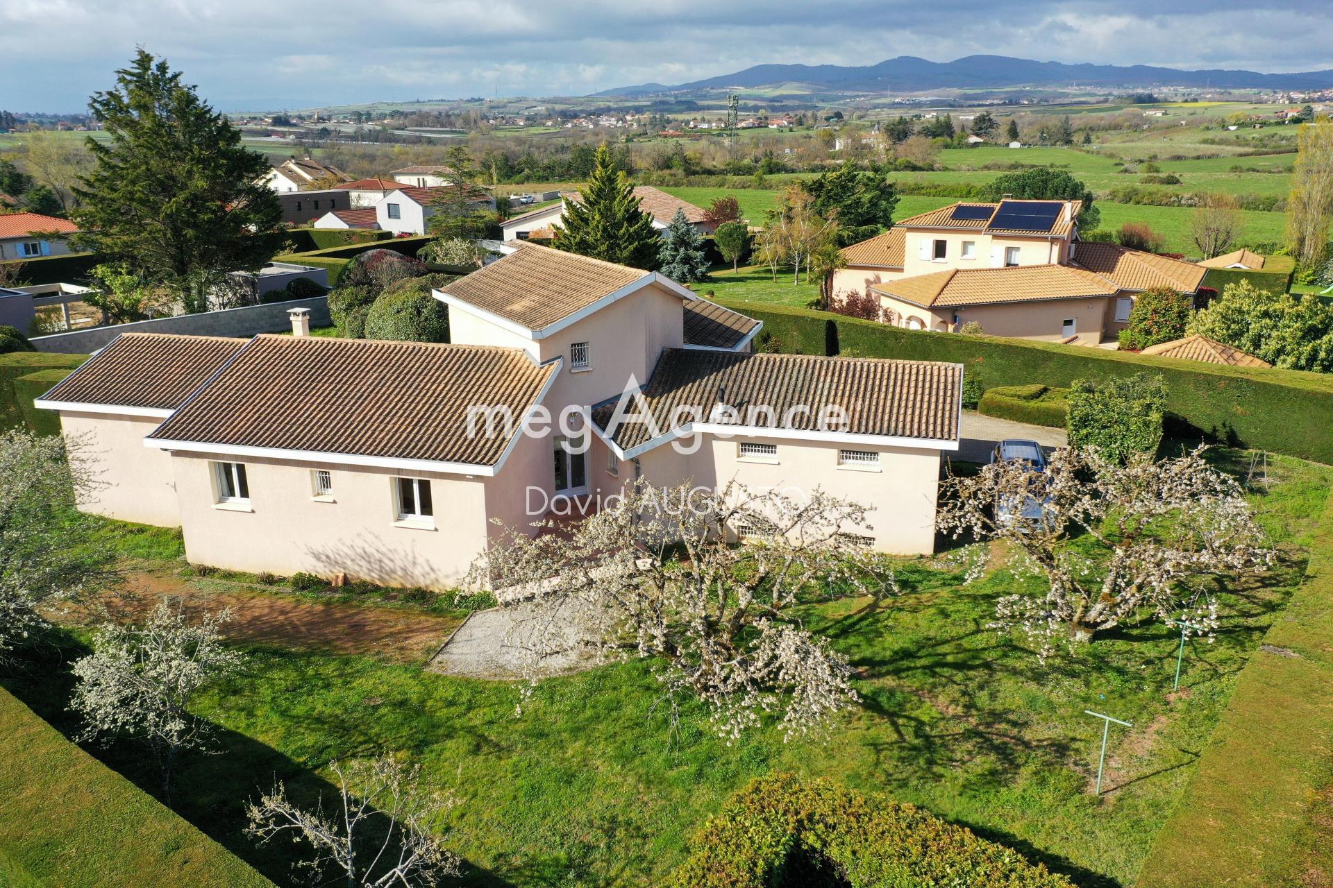 Miniature photo - 12 / 12