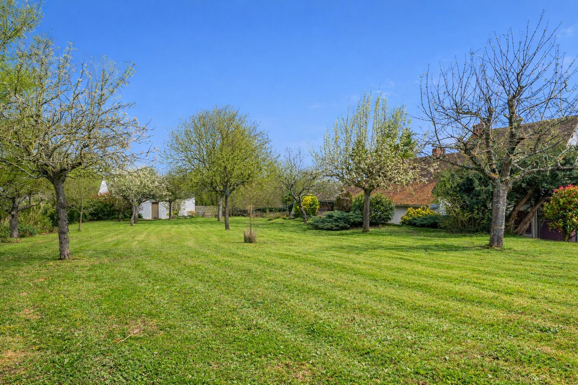 Miniature photo - 18 / 20