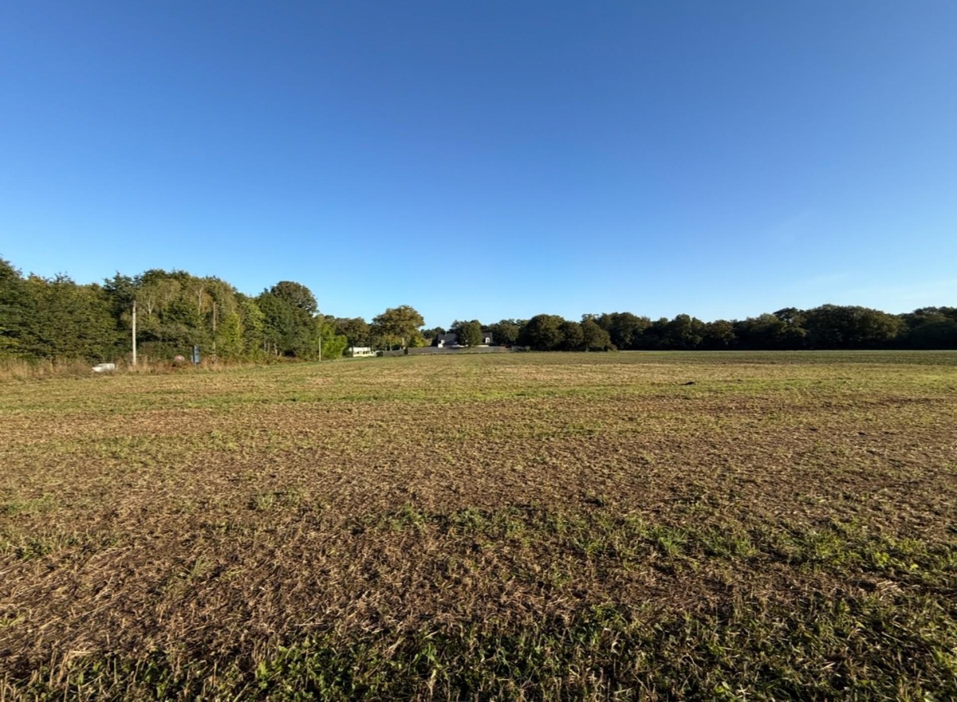 Miniature photo - 4 / 6