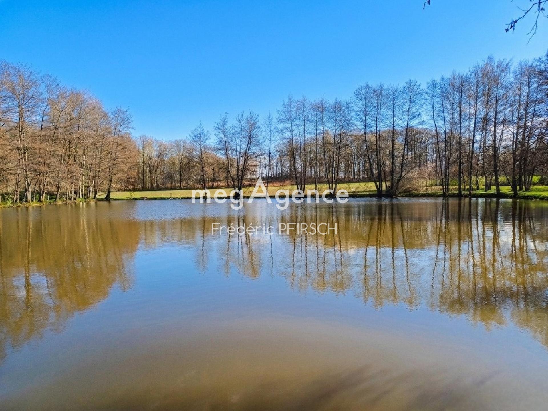 Miniature photo - 2 / 2