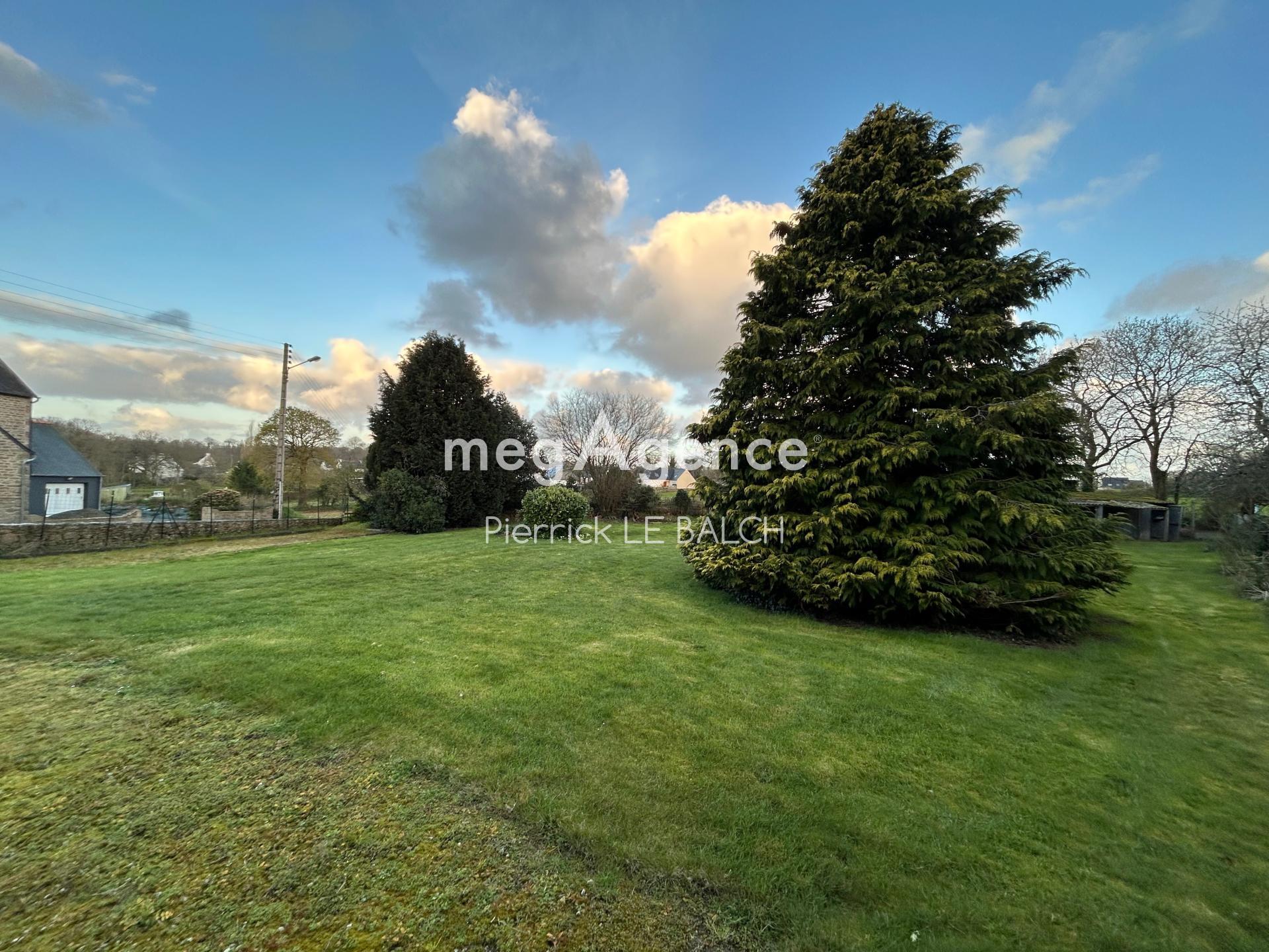 Miniature photo - 3 / 3