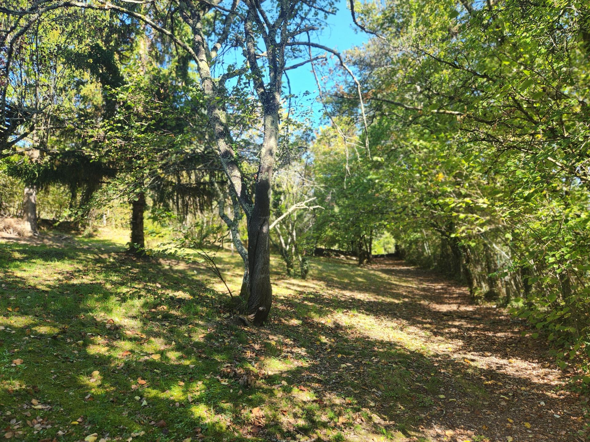 Miniature photo - 12 / 12