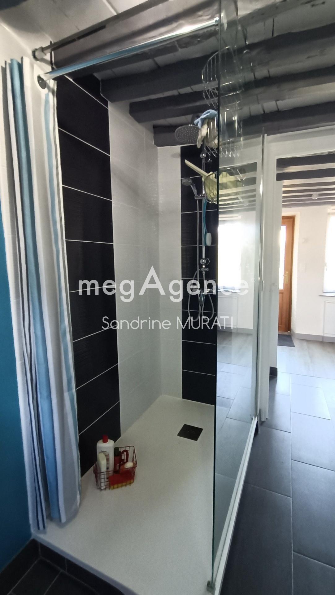 Miniature photo - 5 / 11