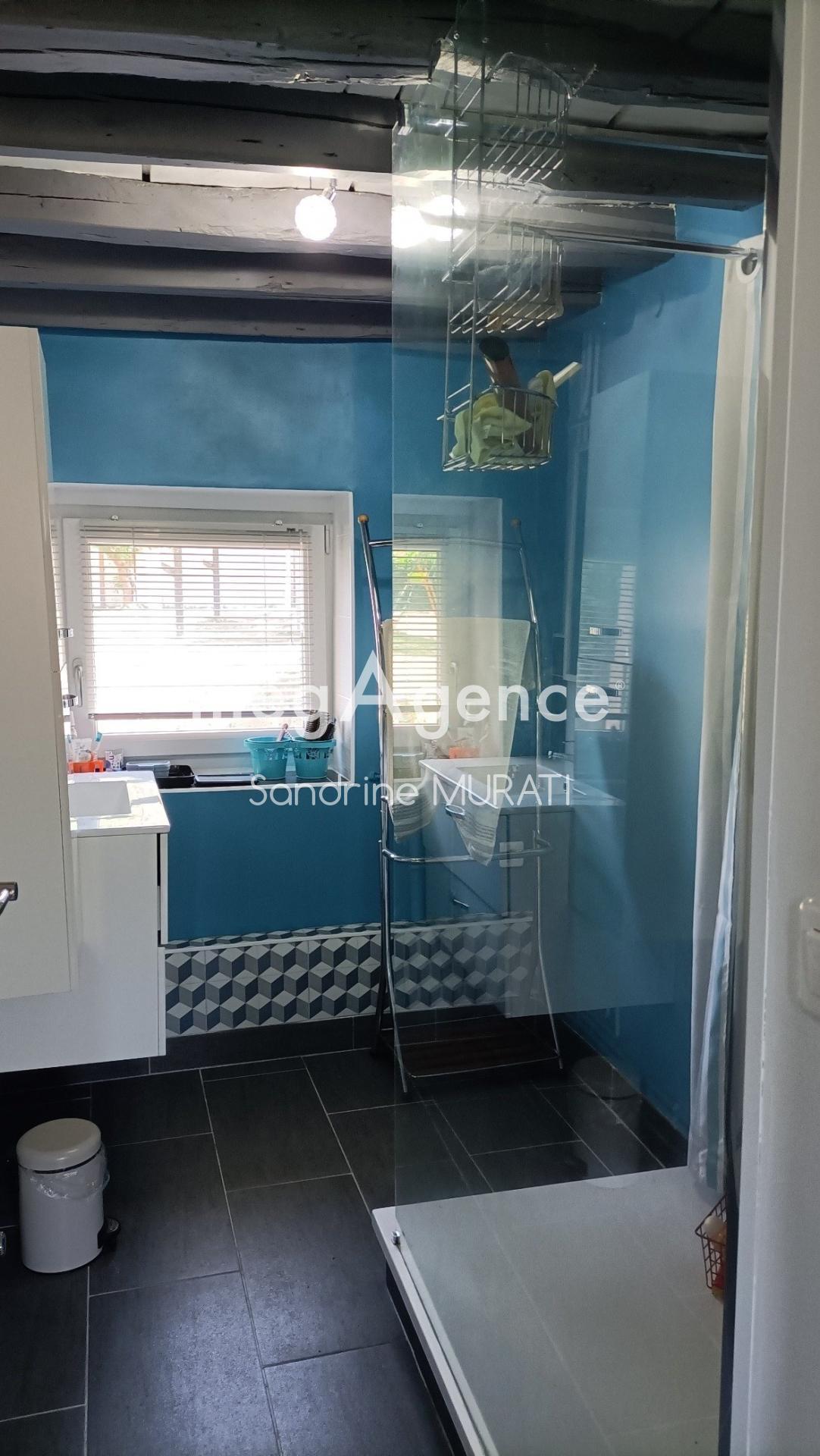 Miniature photo - 6 / 11