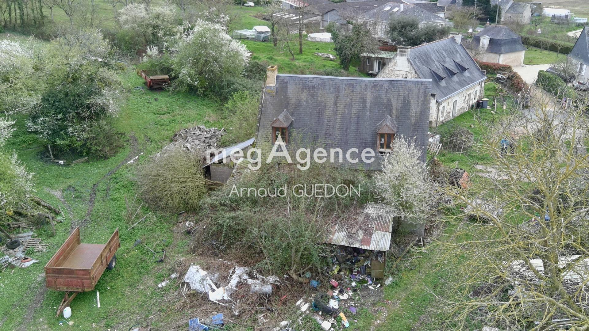 Miniature photo - 2 / 2