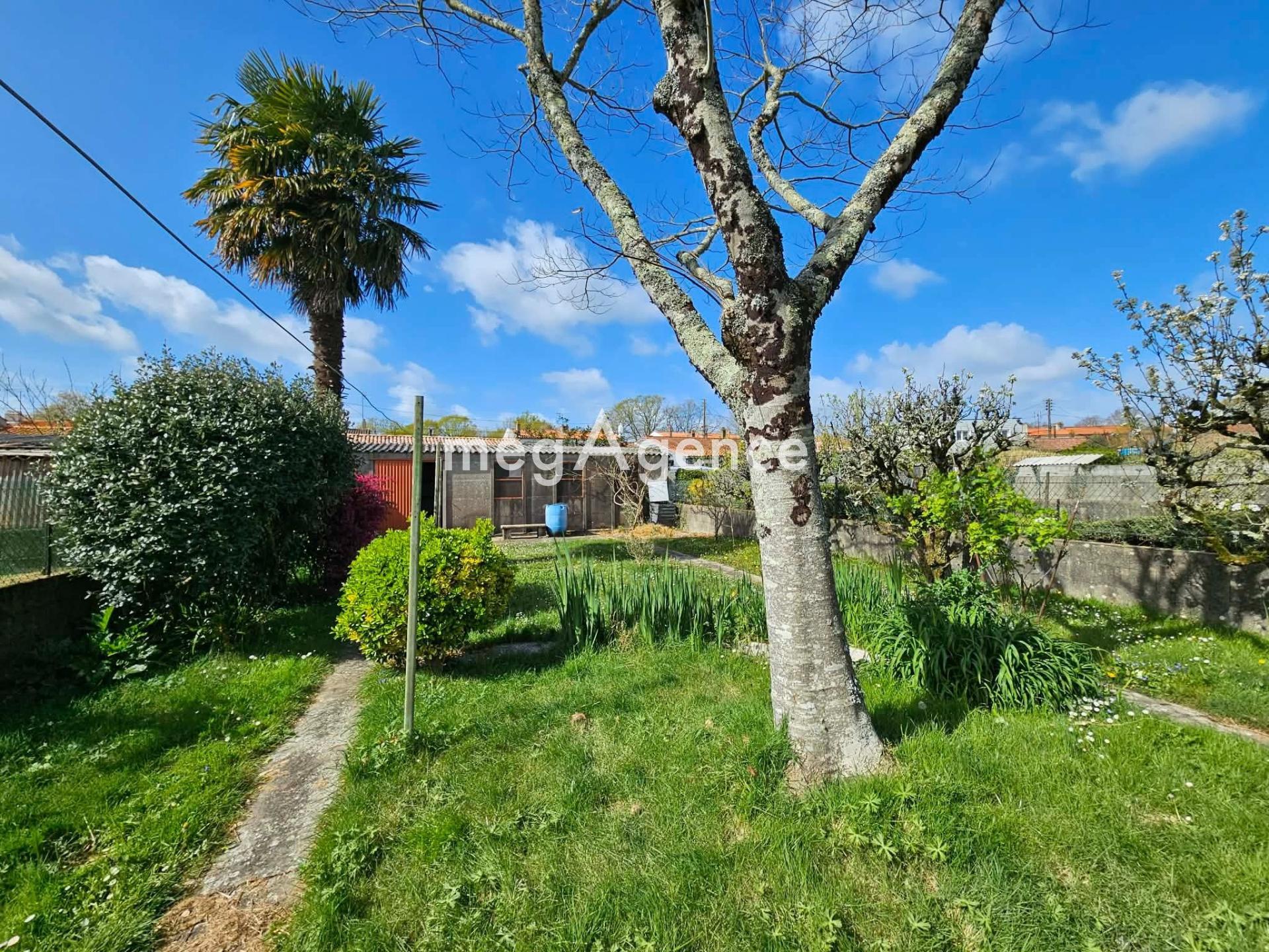 Miniature photo - 10 / 13