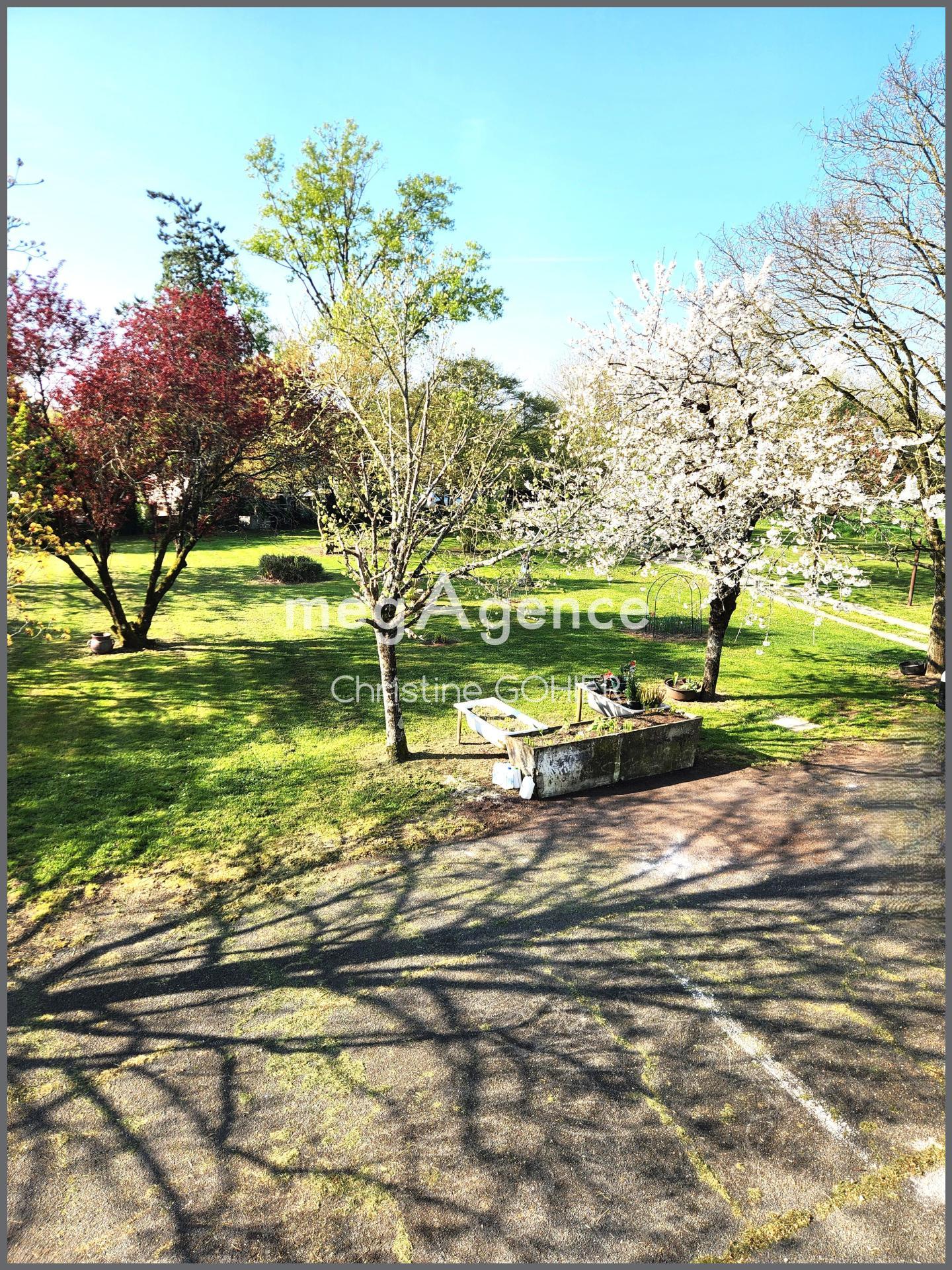 Miniature photo - 3 / 10