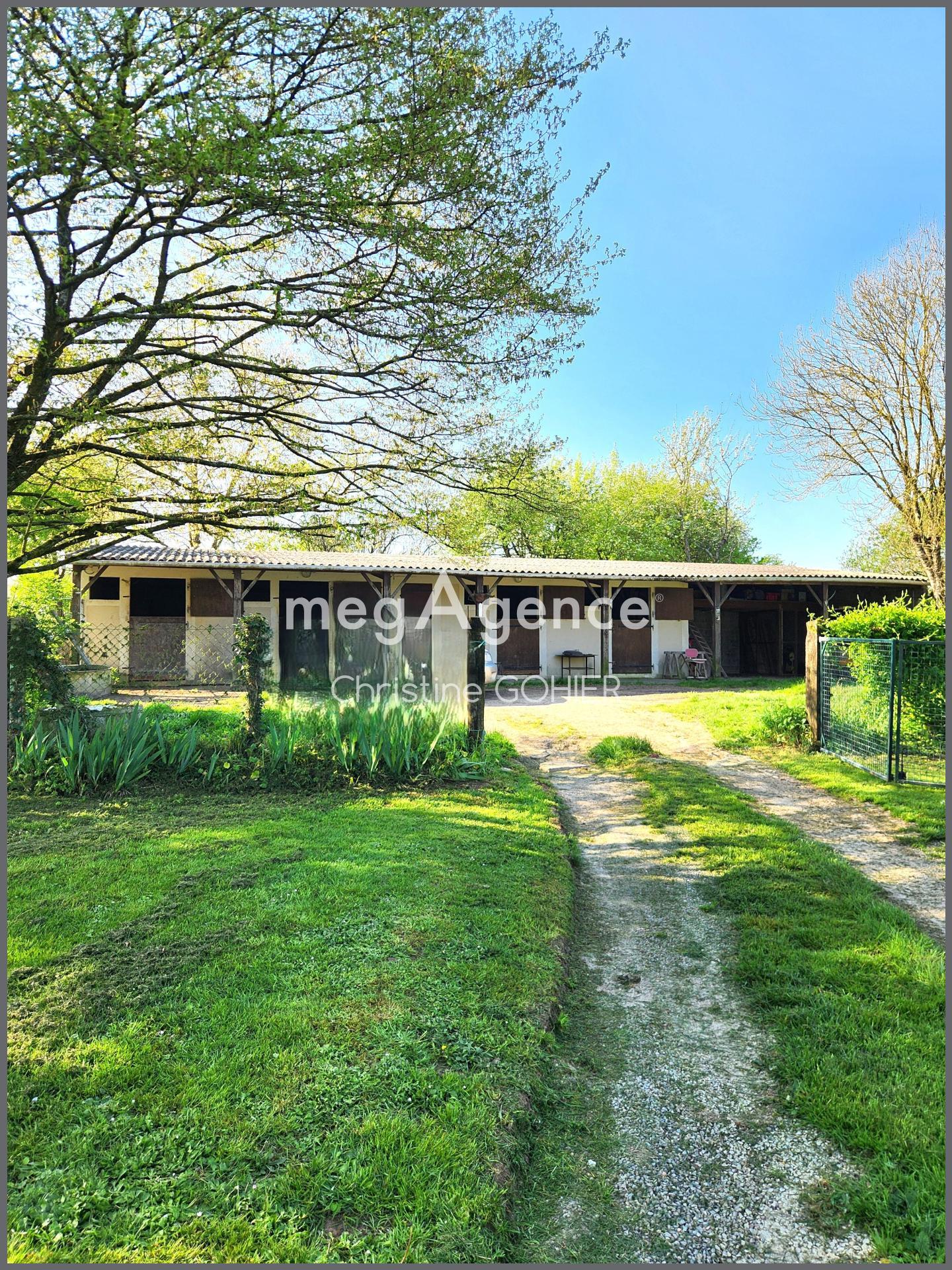 Miniature photo - 10 / 10