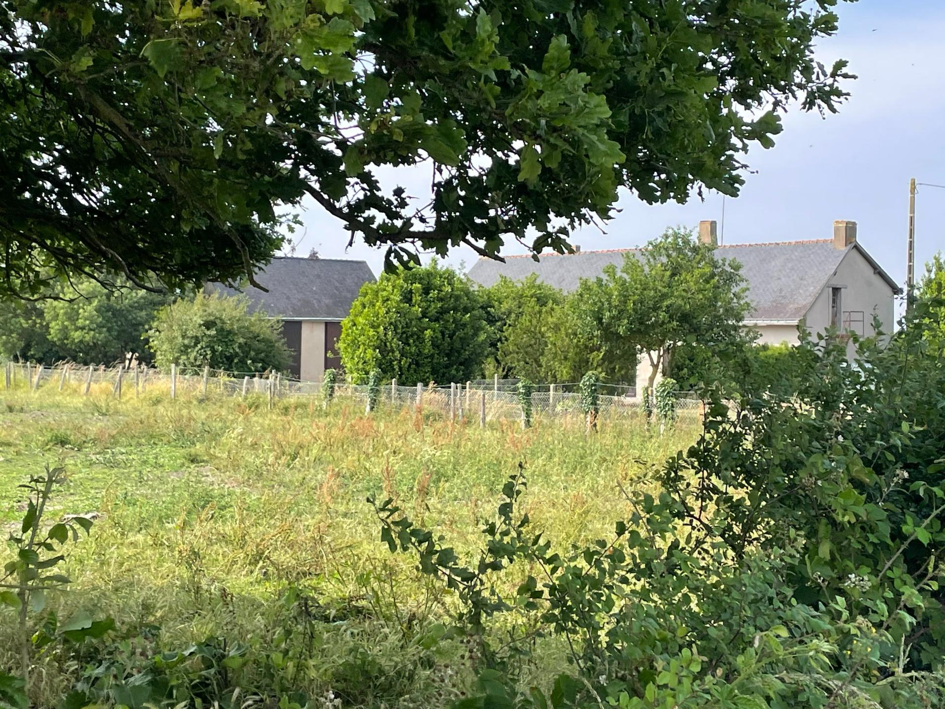 Miniature photo - 8 / 8