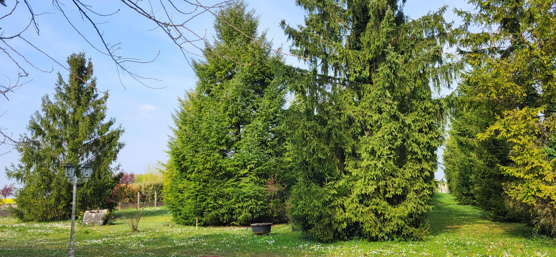 Photographie descriptive du bien