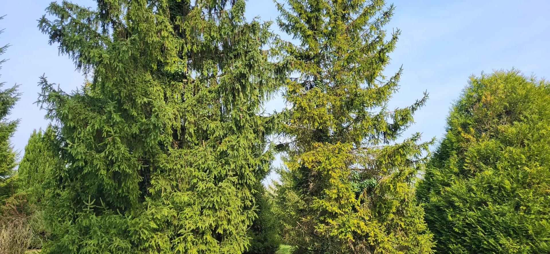 Miniature photo - 3 / 3