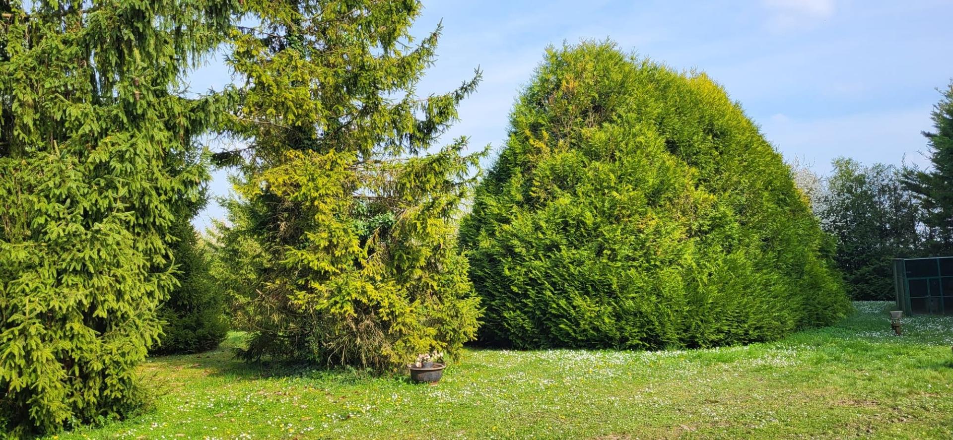 Miniature photo - 2 / 3