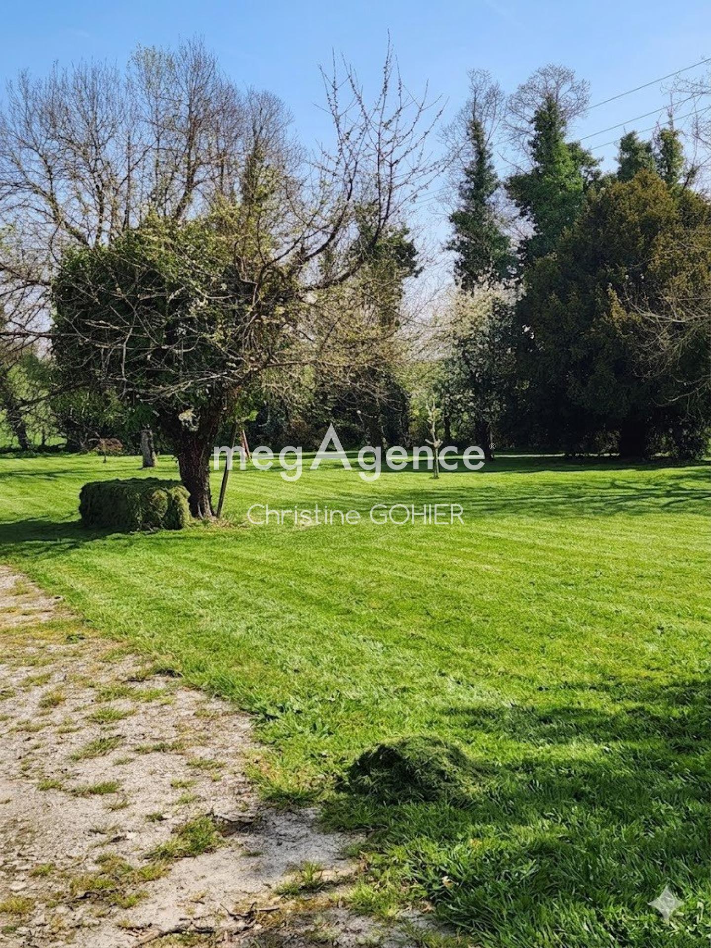 Miniature photo - 2 / 11